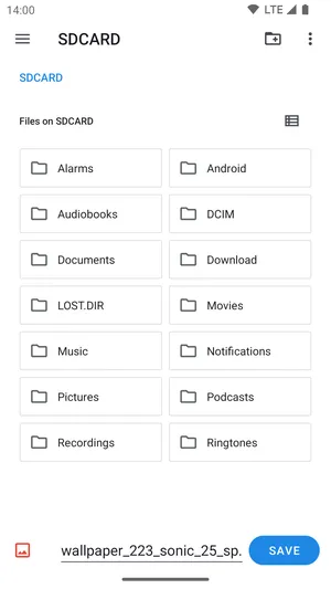 Save Locally Share2Storage